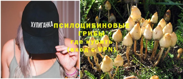 PSILOCYBIN Гусев