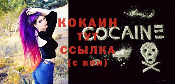 PSILOCYBIN Гусев