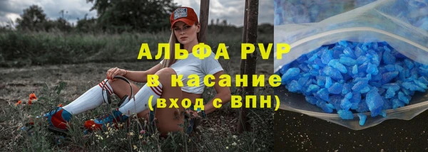 PSILOCYBIN Гусев
