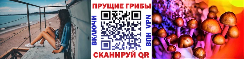 Галлюциногенные грибы Psilocybe Кропоткин