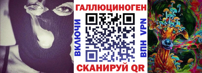 Купить где  Кропоткин  Галлюциногенные грибы Cubensis 