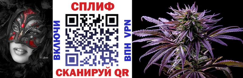Конопля Amnesia Кропоткин