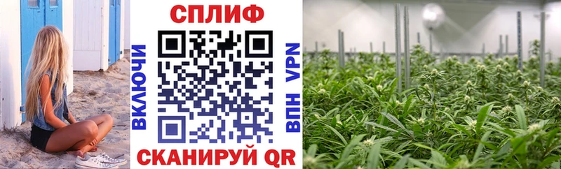 Купить  Кропоткин  МАРИХУАНА SATIVA & INDICA 